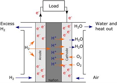 Platinum and Palladium Bio-Synthesized Nanoparticles as Sustainable Fuel Cell Catalysts